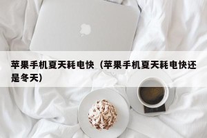 苹果手机夏天耗电快（苹果手机夏天耗电快还是冬天）